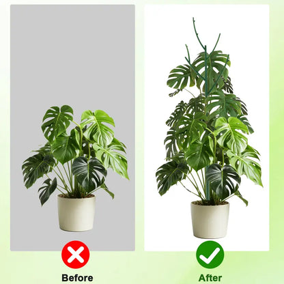 Stackable Monstera Plant Support Stakes — before and after plant support