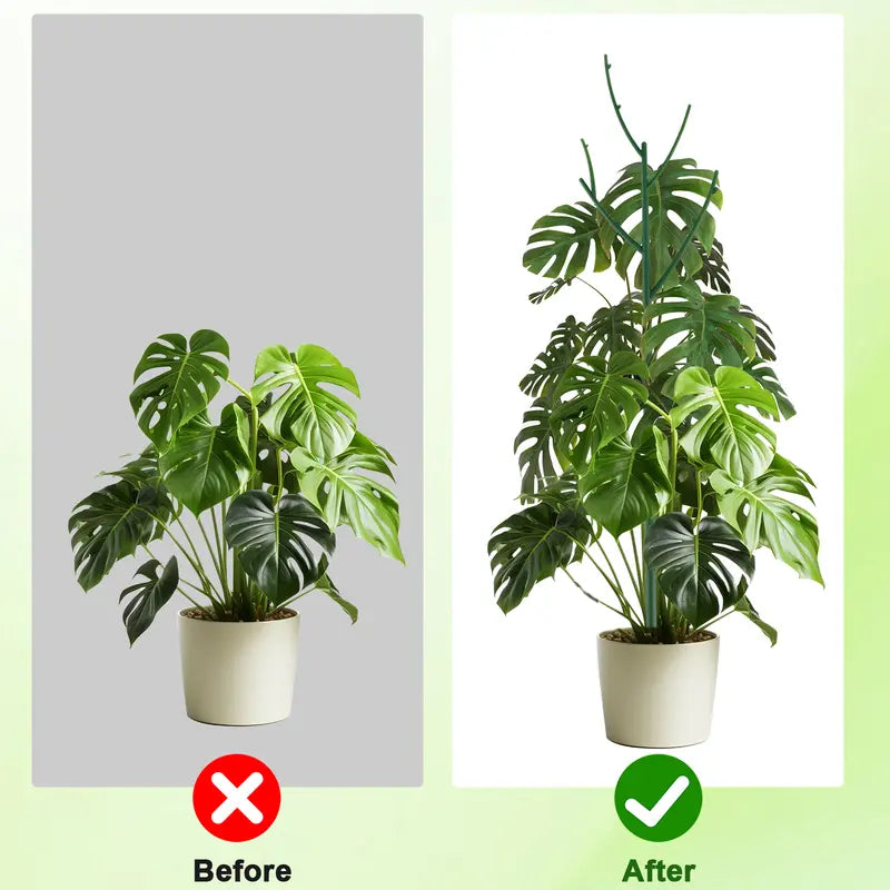 Stackable Monstera Plant Support Stakes — before and after plant support
