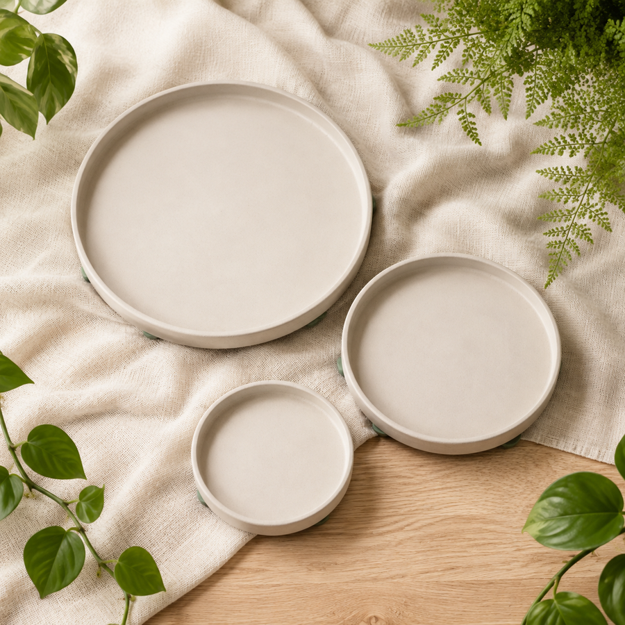StoneDry Diatomite Plant Saucers — included contents